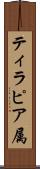 ティラピア属 Scroll