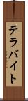 テラバイト Scroll