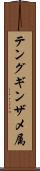 テングギンザメ属 Scroll