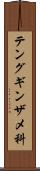 テングギンザメ科 Scroll