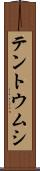テントウムシ Scroll