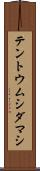 テントウムシダマシ Scroll