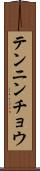 テンニンチョウ Scroll