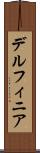 デルフィニア Scroll
