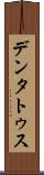 デンタトゥス Scroll