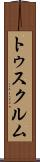 トゥスクルム Scroll