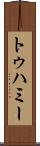 トゥハミー Scroll