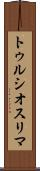 トゥルシオスリマ Scroll