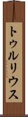トゥルリウス Scroll