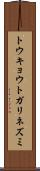 トウキョウトガリネズミ Scroll