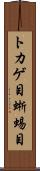 トカゲ目 Scroll