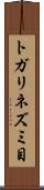 トガリネズミ目 Scroll