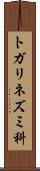 トガリネズミ科 Scroll