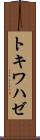 トキワハゼ Scroll