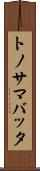 トノサマバッタ Scroll