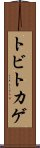 トビトカゲ Scroll