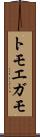 トモエガモ Scroll