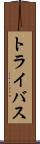 トライバス Scroll