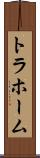 トラホーム Scroll