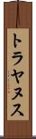 トラヤヌス Scroll