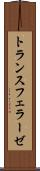 トランスフェラーゼ Scroll