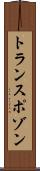 トランスポゾン Scroll