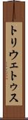 トリウェトゥス Scroll