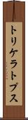 トリケラトプス Scroll