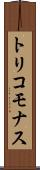 トリコモナス Scroll
