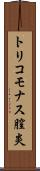 トリコモナス膣炎 Scroll