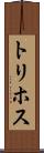 トリホス Scroll