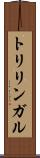 トリリンガル Scroll