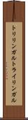 トリリンガル Scroll