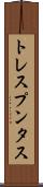 トレスプンタス Scroll