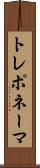 トレポネーマ Scroll