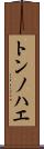 トンノハエ Scroll