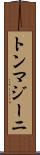 トンマジーニ Scroll
