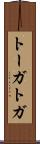 トーガ Scroll