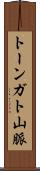 トーンガト山脈 Scroll