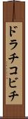 ドラチコビチ Scroll