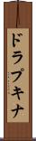 ドラプキナ Scroll