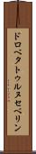 ドロベタトゥルヌセベリン Scroll