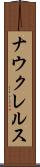 ナウクレルス Scroll