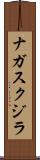 ナガスクジラ Scroll