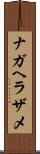 ナガヘラザメ Scroll