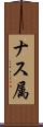 ナス属 Scroll