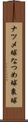 ナツメ球 Scroll