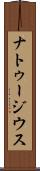 ナトゥージウス Scroll