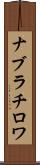 ナブラチロワ Scroll