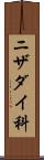 ニザダイ科 Scroll